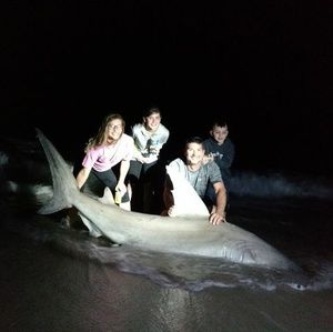 Meet your Posher, Don